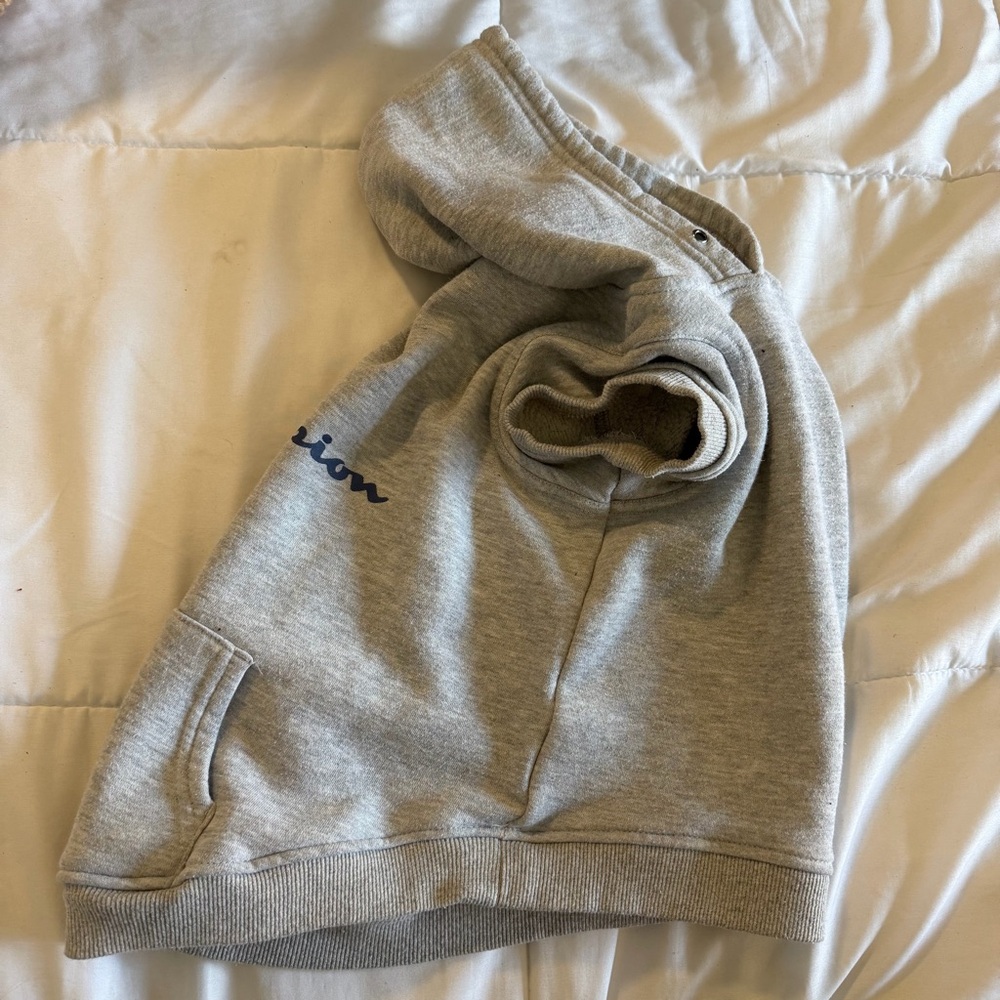Dog Hoodie